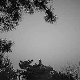 反向真香 《幻兽帕鲁》工作室CEO“绝不接受”收购